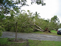 Cairns36 Cyclone Larry